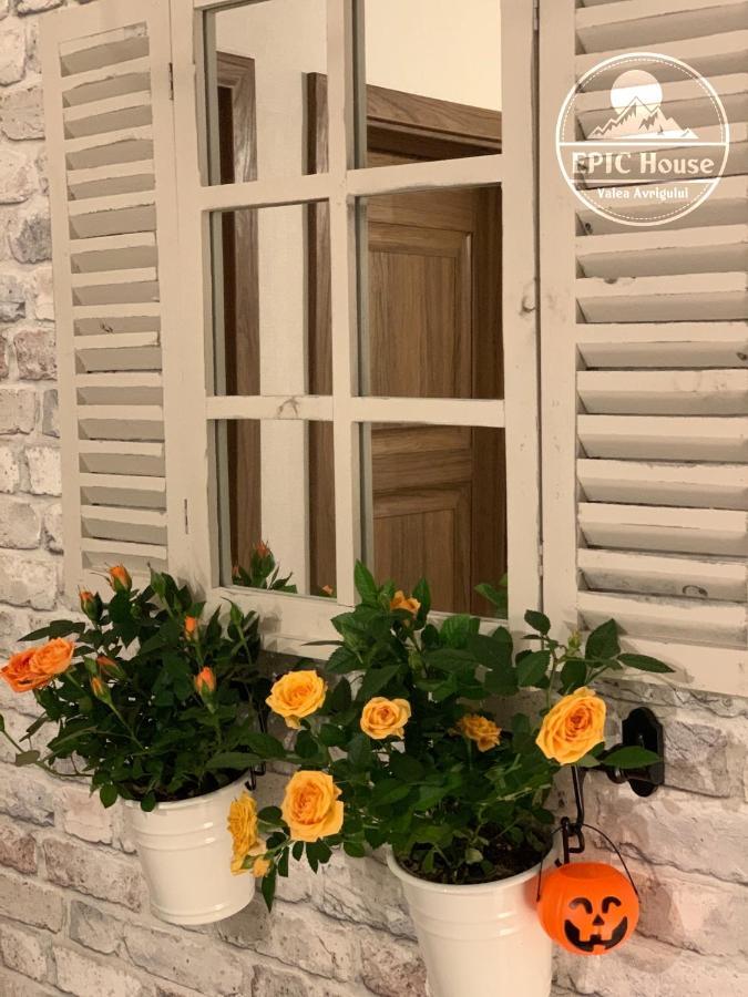 Epic House Valea Avrigului Villa Exterior photo
