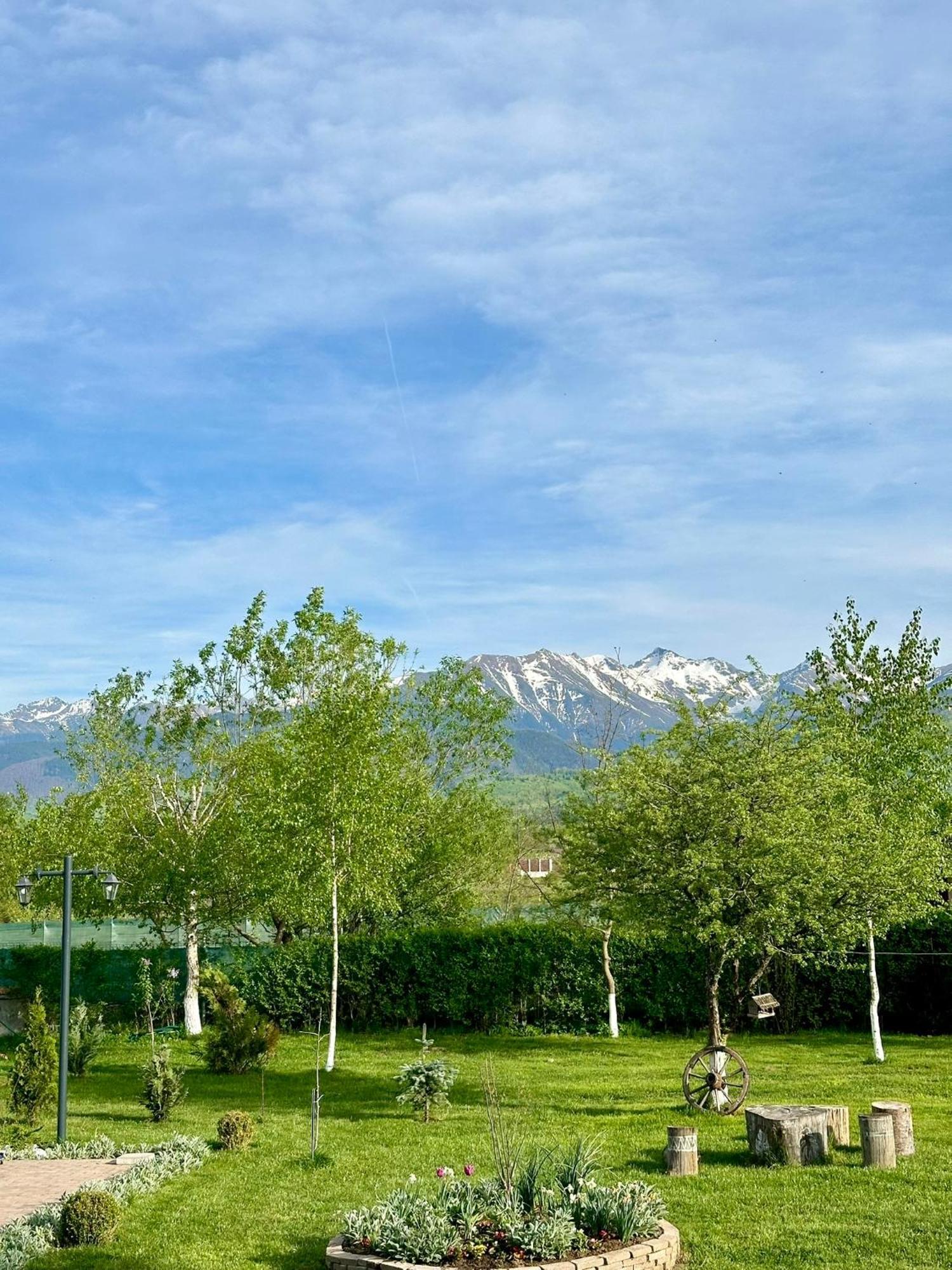 Epic House Valea Avrigului Villa Exterior photo
