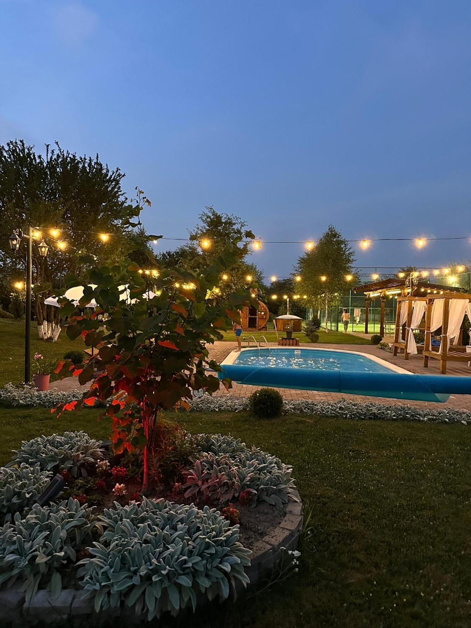 Epic House Valea Avrigului Villa Exterior photo